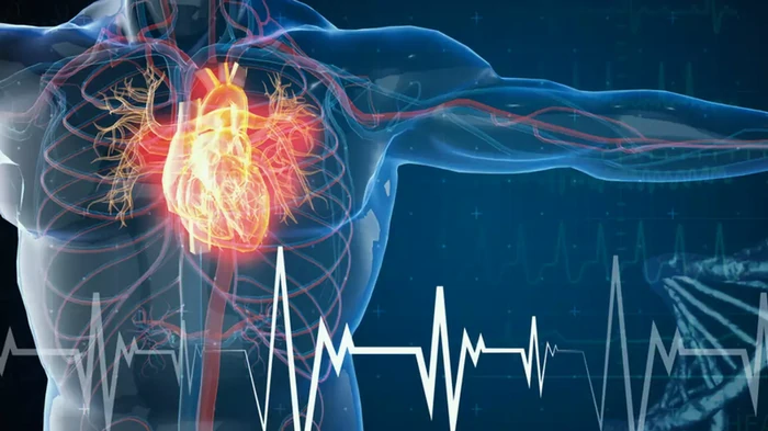 превенция на тромбозата